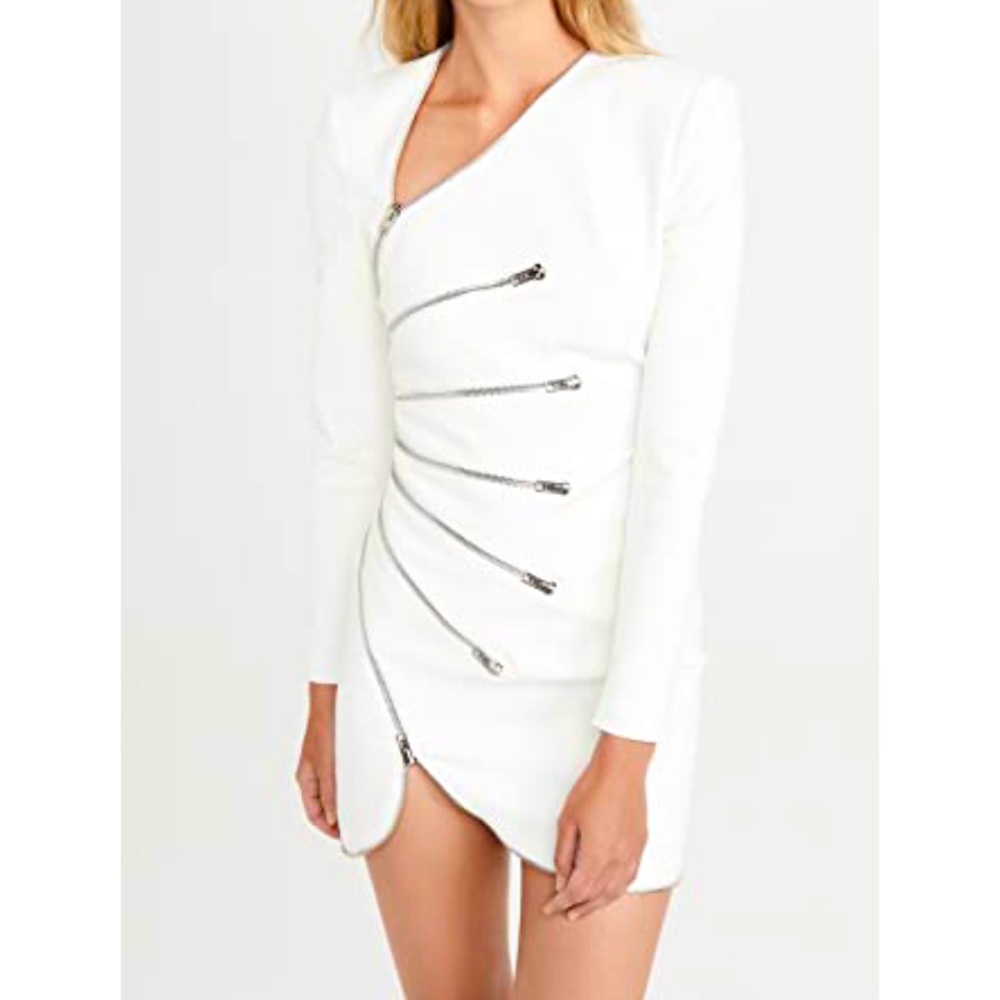 Alexander Wang Long Sleeve “Zip Dress”